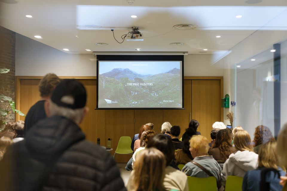 An audience watching a film in the festival screening room